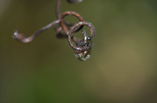 water drop rain