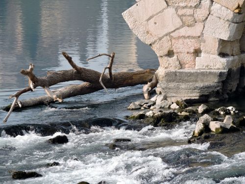 water river branch