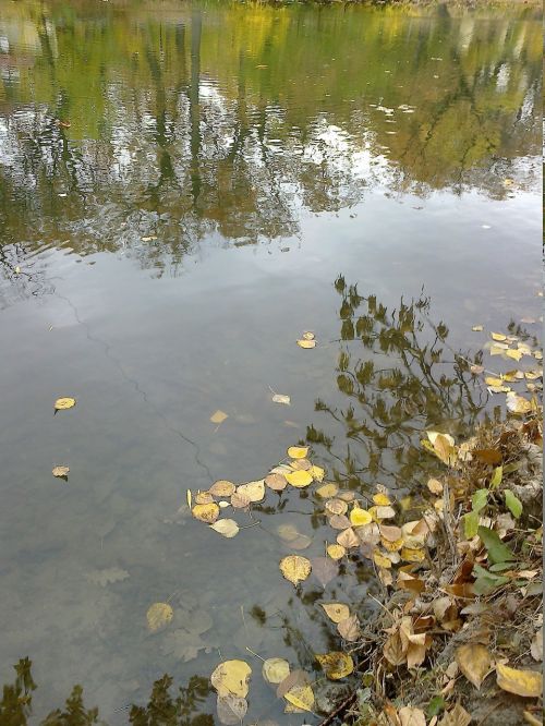 water pond autumn