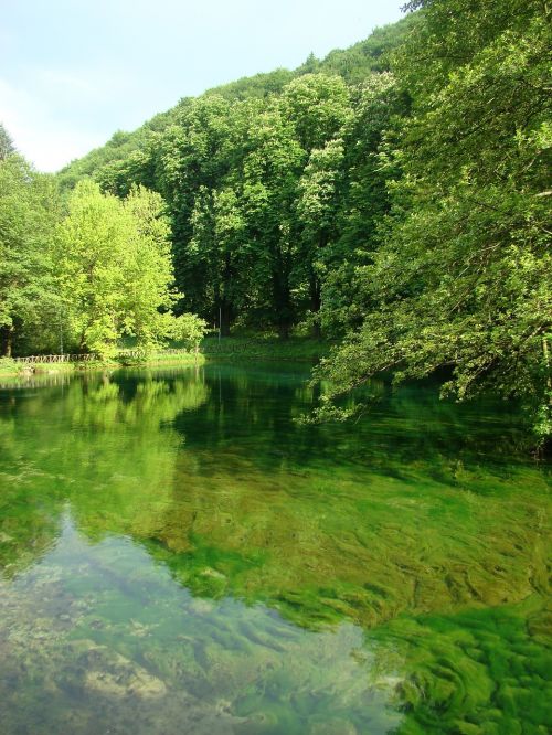 water lake nature