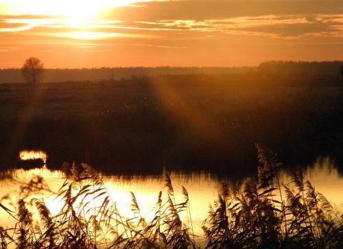 water sky vegetation