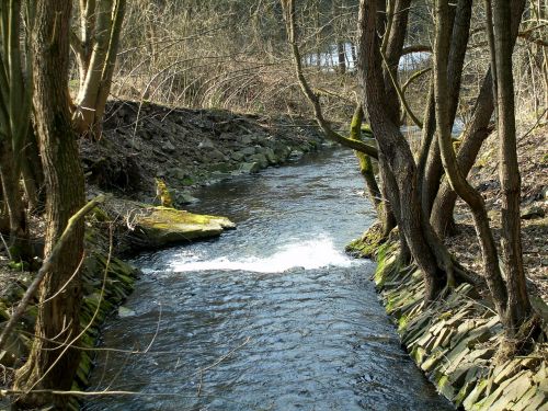 water bach water running