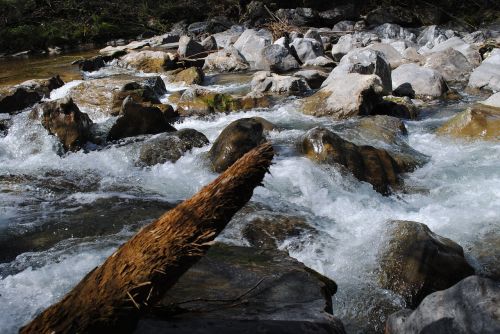 water log river