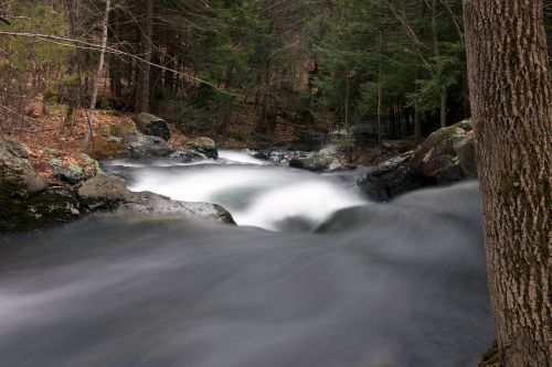 water creek river