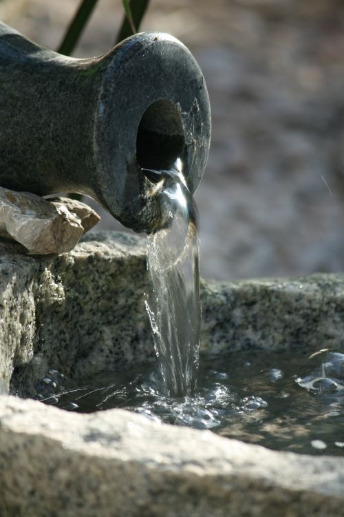 water amphora summer