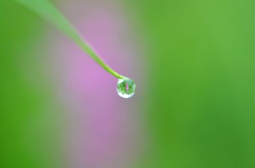 water drop rain