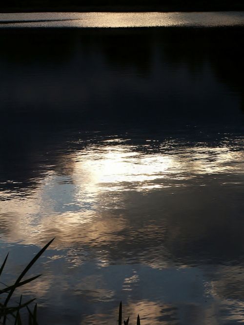 water pond evening