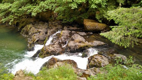 water green nature