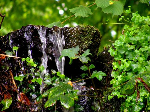 water green rocks