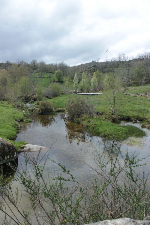 water ribeiro mountain stream