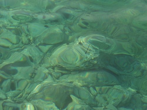 water mirroring blue