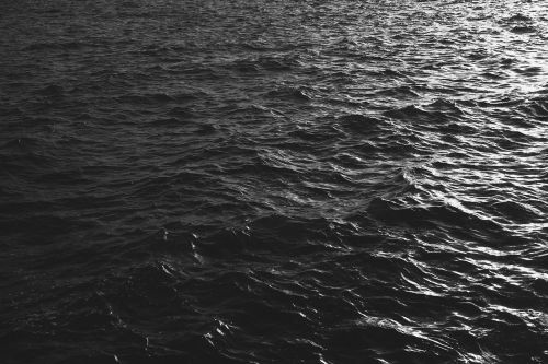 water sea black and white
