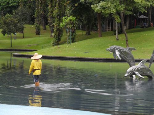 water dolphins malaysia