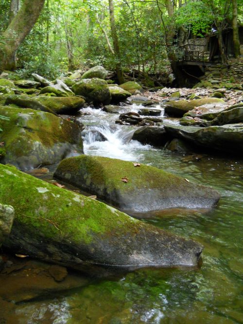 water river rocks