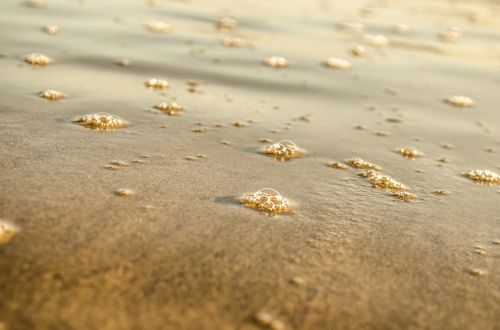 Water Bubbles On The Beach