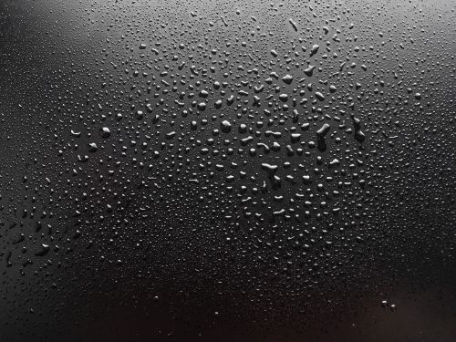 water droplets dew wet