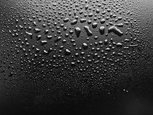 water droplets dew wet