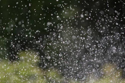 water droplets rain garden