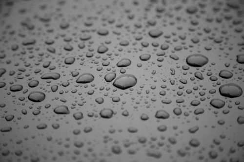 Water Drops