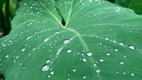 water drops kerala water