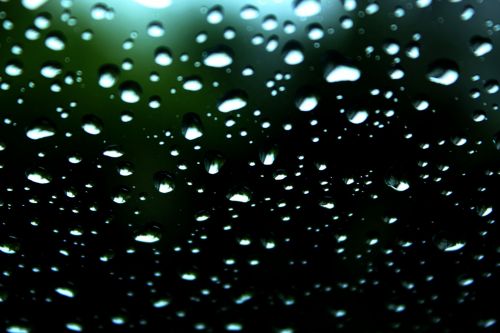 Water Drops Wallpaper