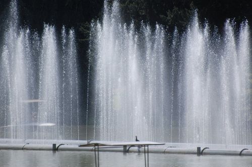 water fountain water feature fountain