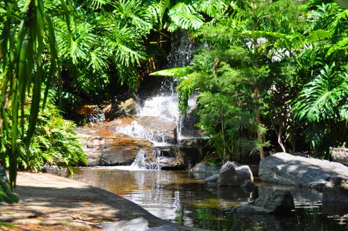 Water Garden