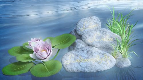 water lily stones love