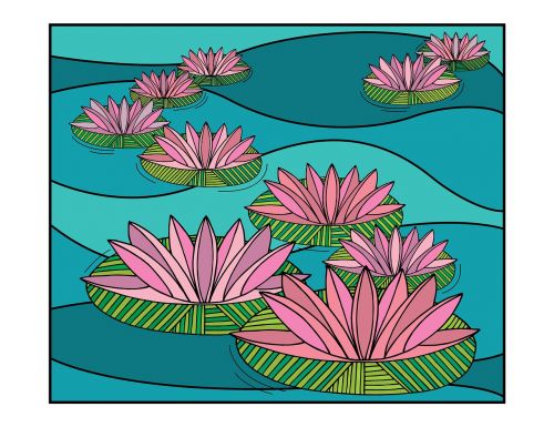 water lily lilies water
