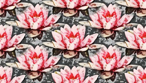 water lily background pattern