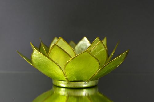 water lily glass green