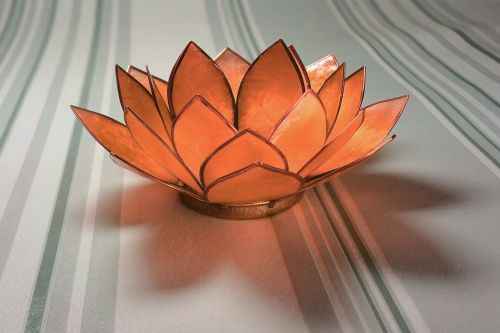 water lily glass orange