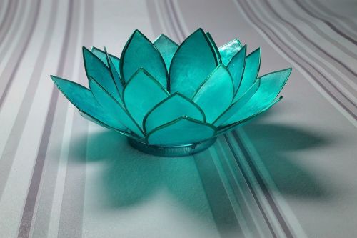 water lily glass light blue