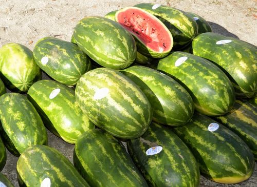 water melon for sale market