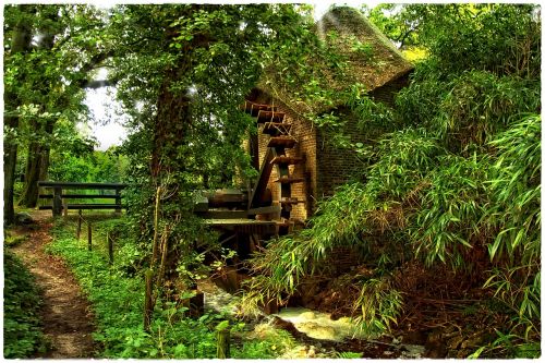 water mill nature waterwheel