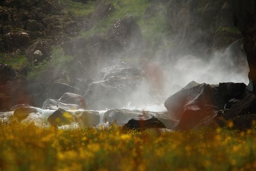 water mist  waterfall  flower meadow