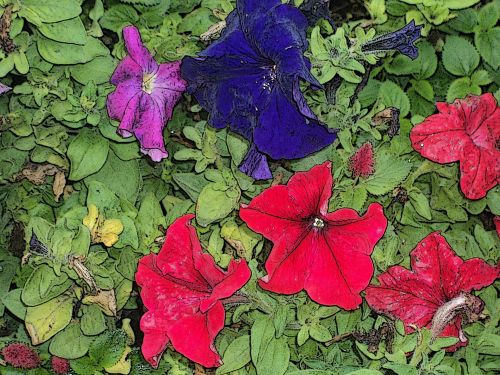 Water Paint Flowers