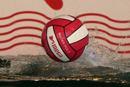 water polo  sport  ball