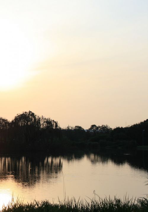 Water Pond At Sundown