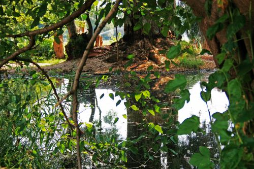 Water Reflection