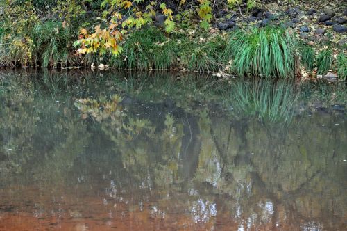 Water Reflection