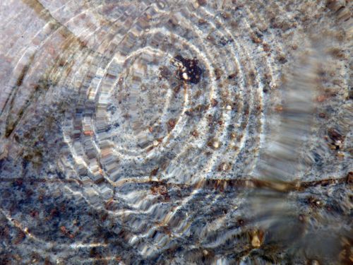 Water Rings