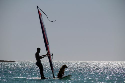 water sports sail surf