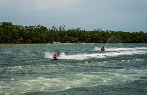 water sports nature florida