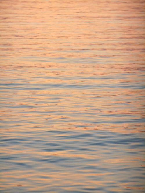 water surface sea evening