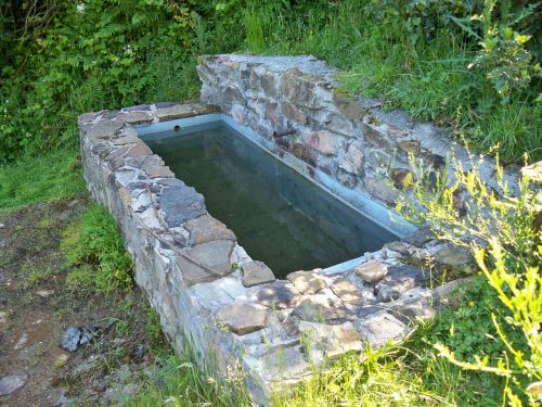 water trough livestock water