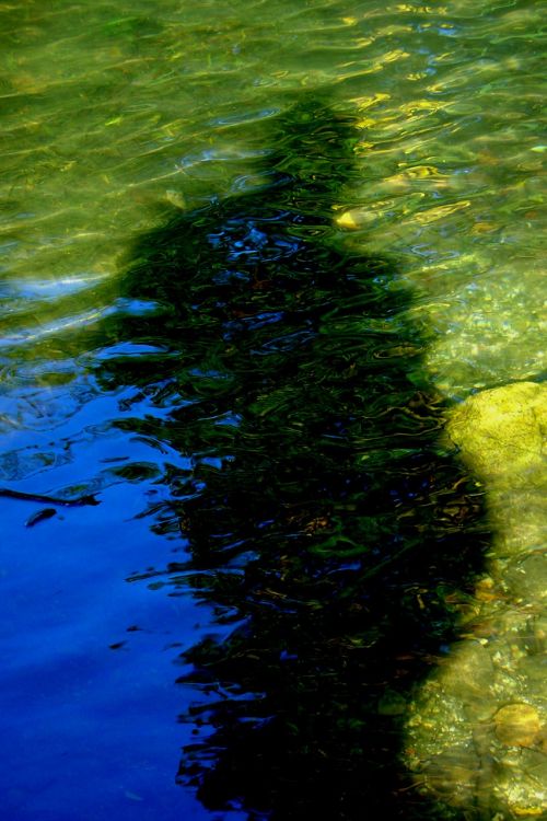 water water pond lake