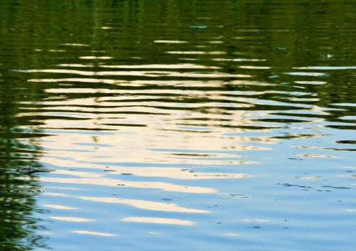 Water With Reflections