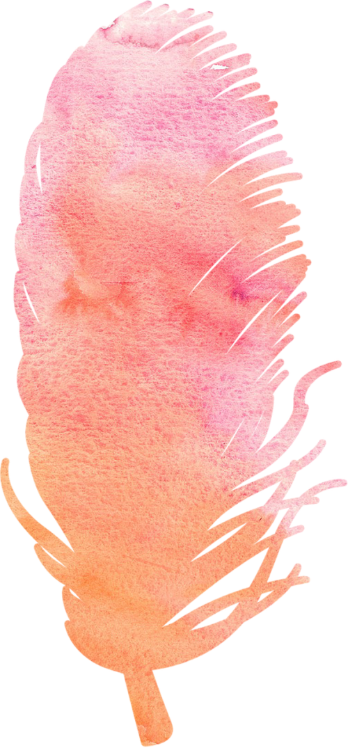 watercolor feather pink