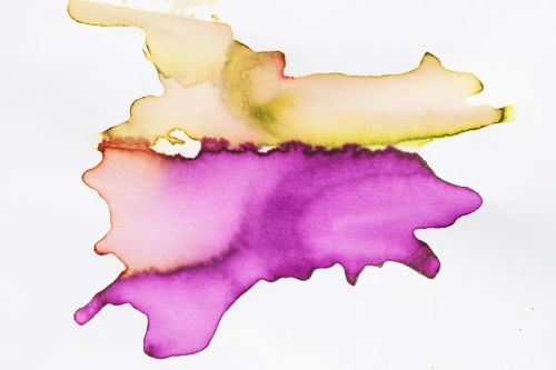 watercolor tusche indian ink wet